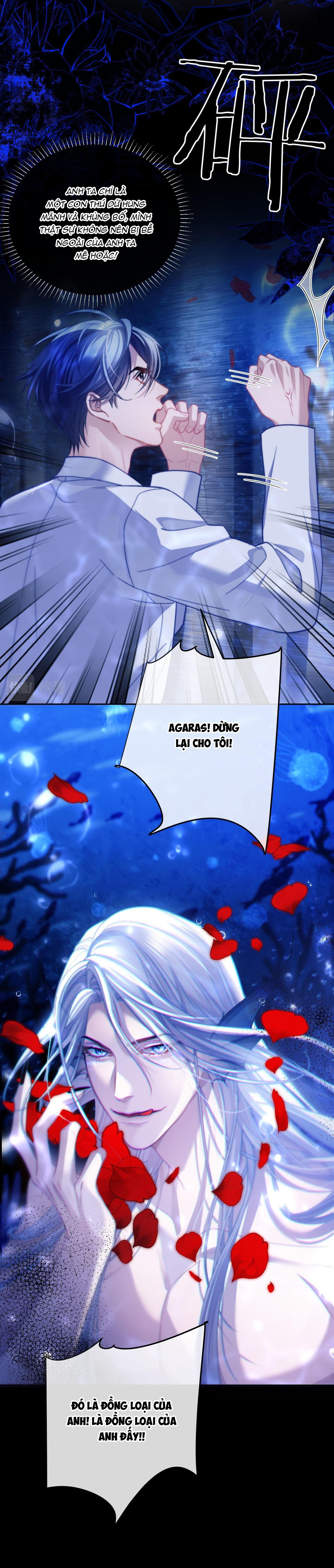 người cá desahrow chapter 12 10