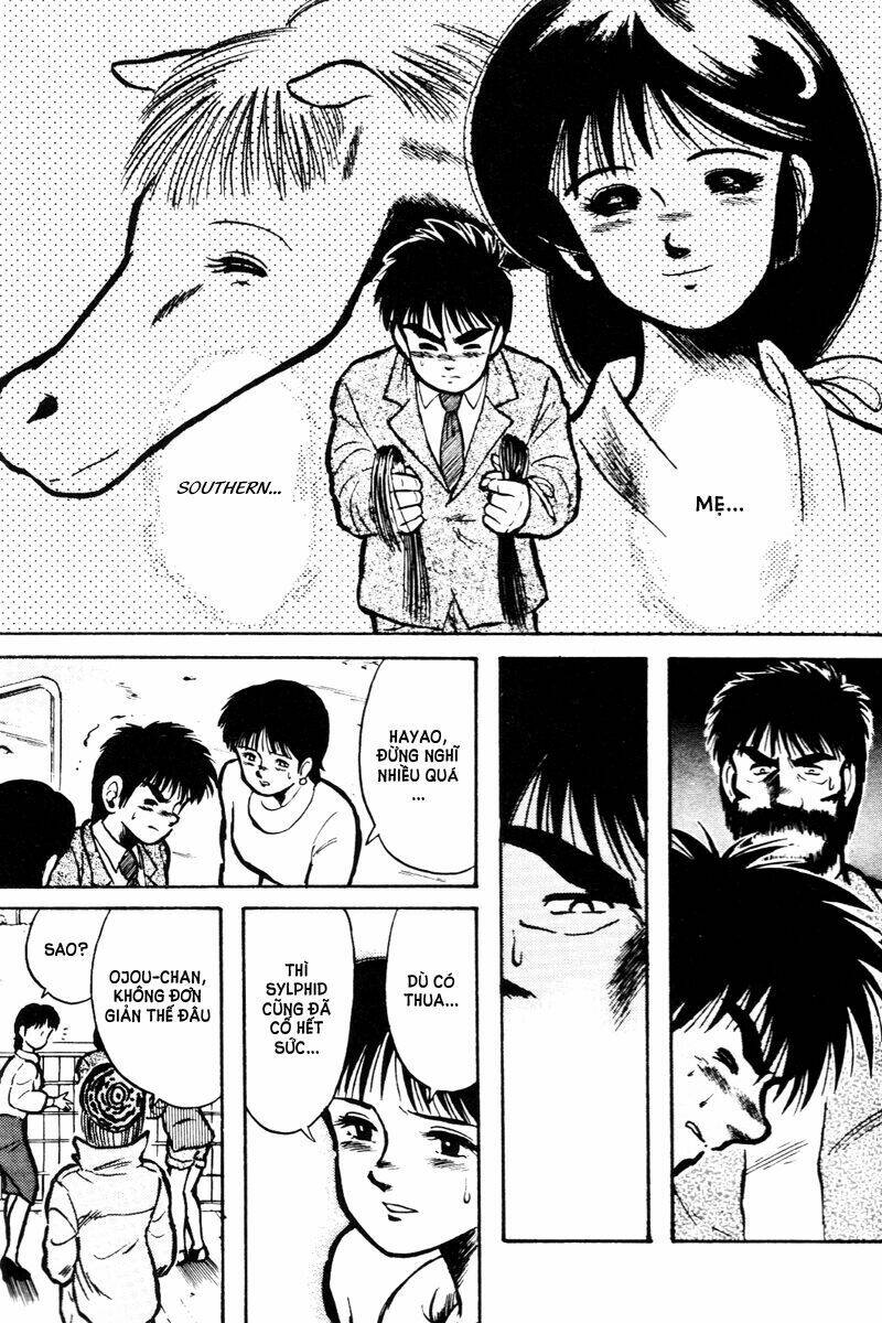 kaze no sylphid - phong mã silphid chapter 15 15