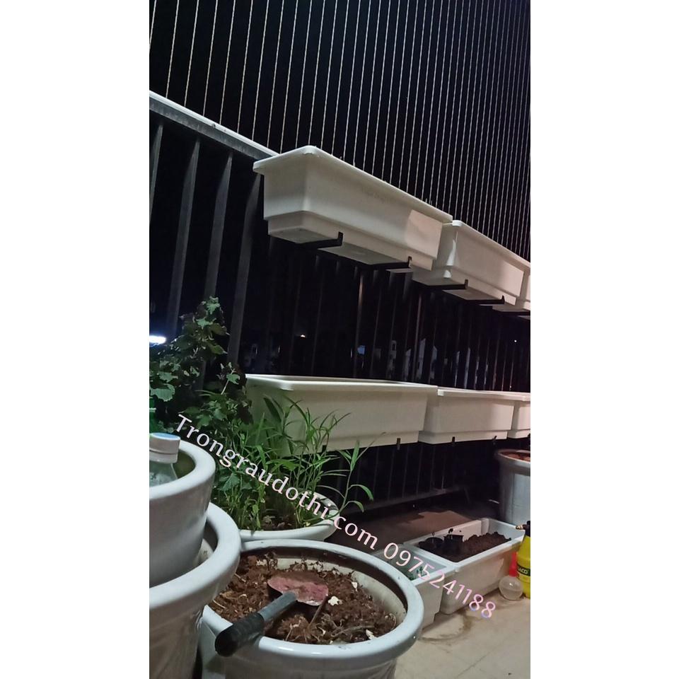 Bộ chậu kệ trồng rau ban công 2 tầng có móc treo tiện lợi
