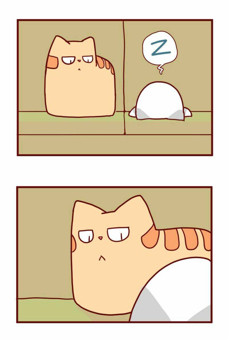 saphie: chú mèo một mắt chapter 18 12