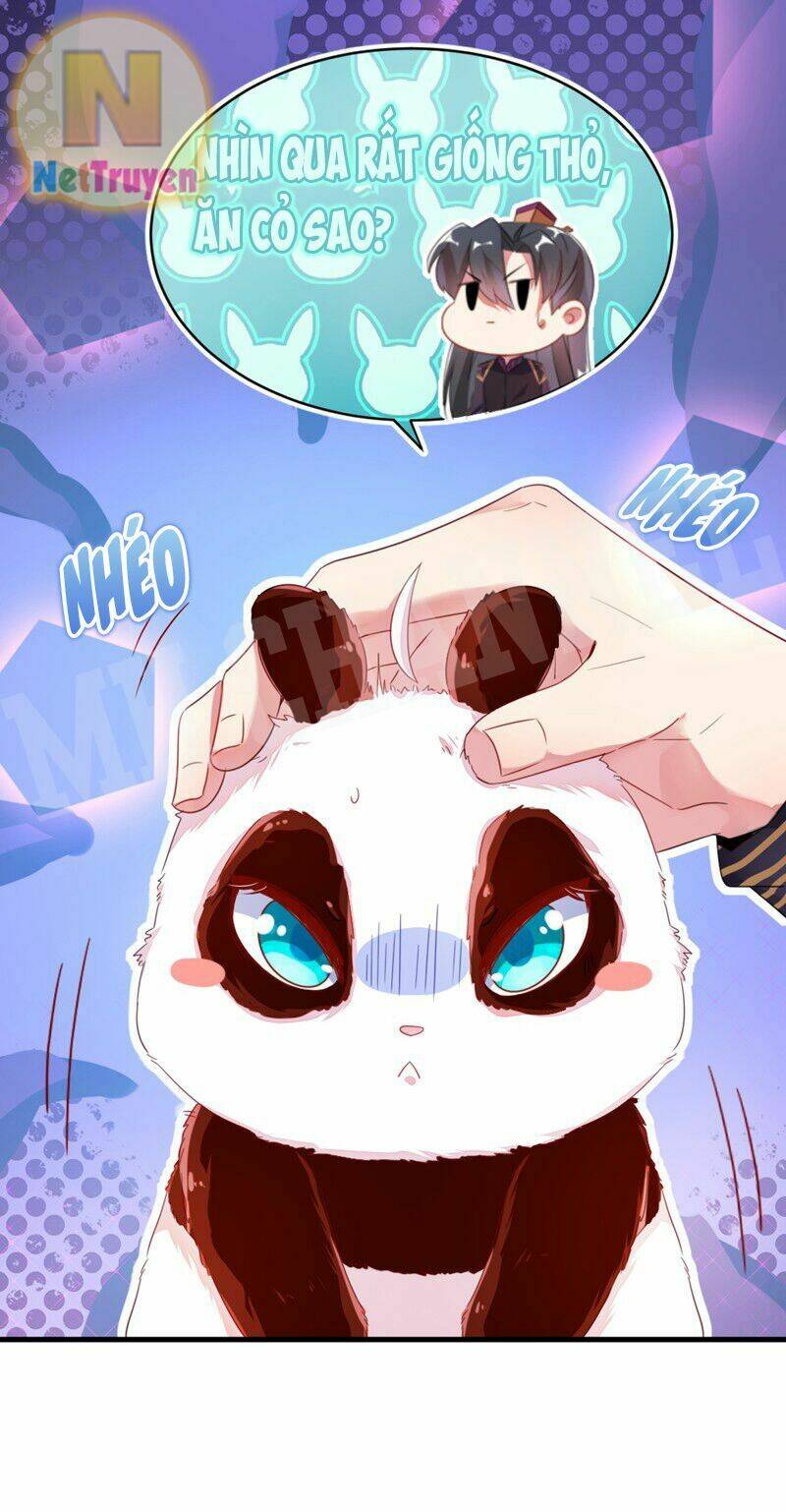 thiên thần gấu trúc muốn được ôm chapter 11 12