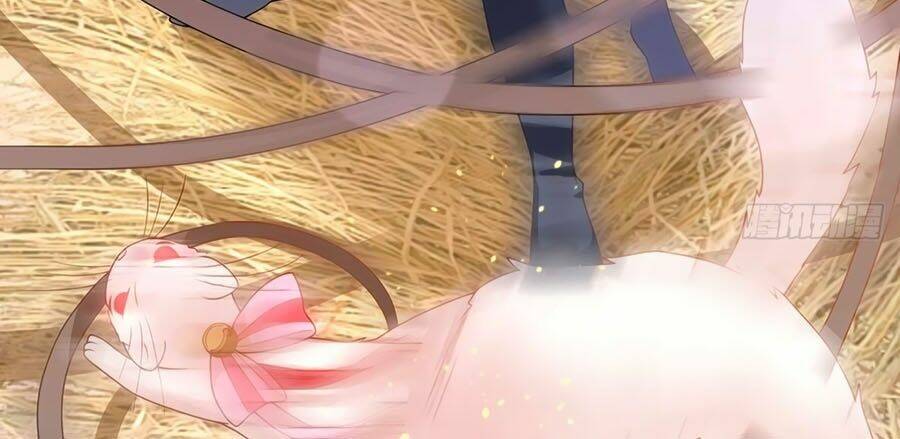 dưỡng thú vi phi chapter 12 11