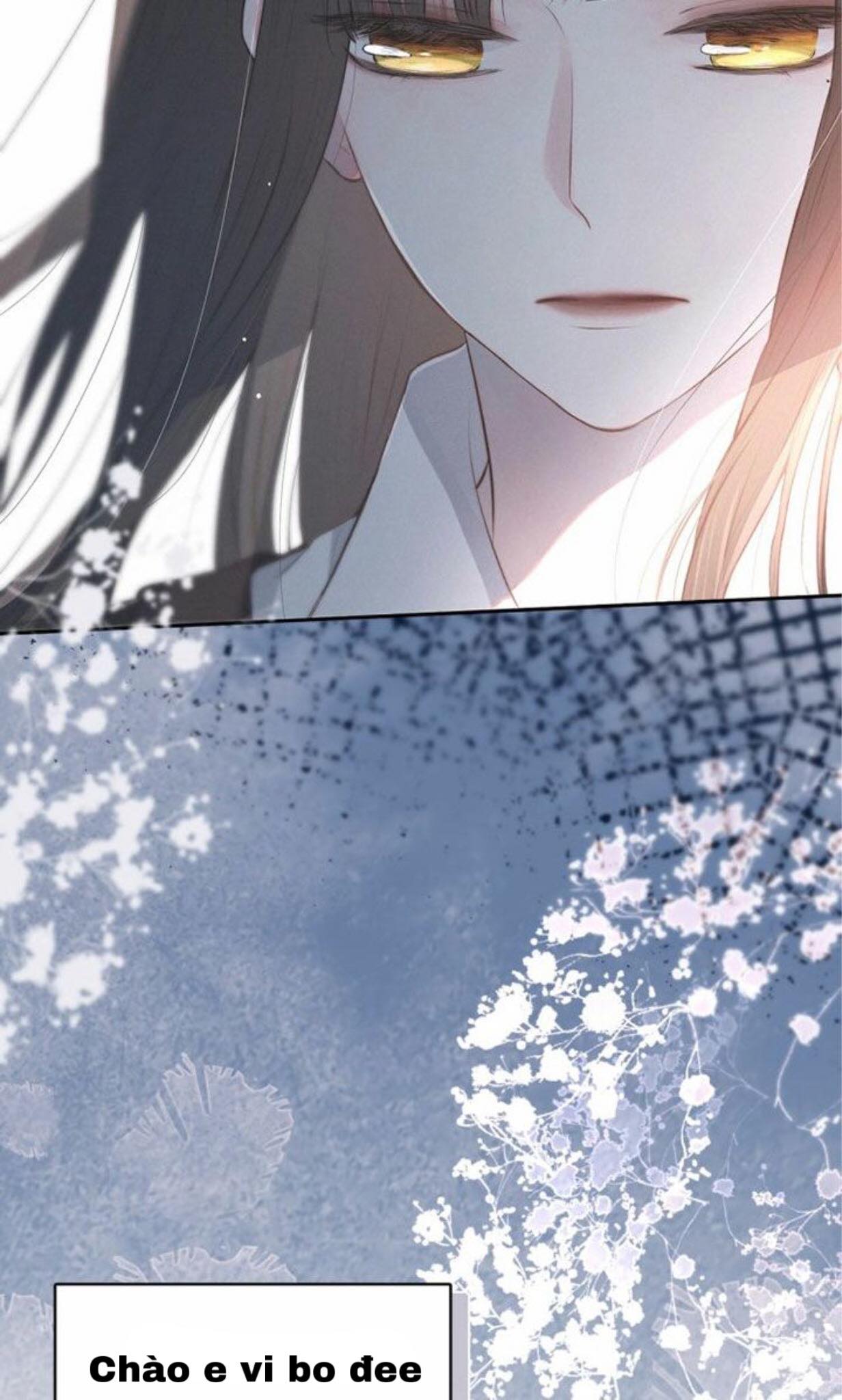 nỗi buồn của hoa cẩm tú cầu chapter 3 6