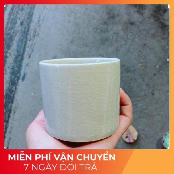 Chậu Trồng Cây