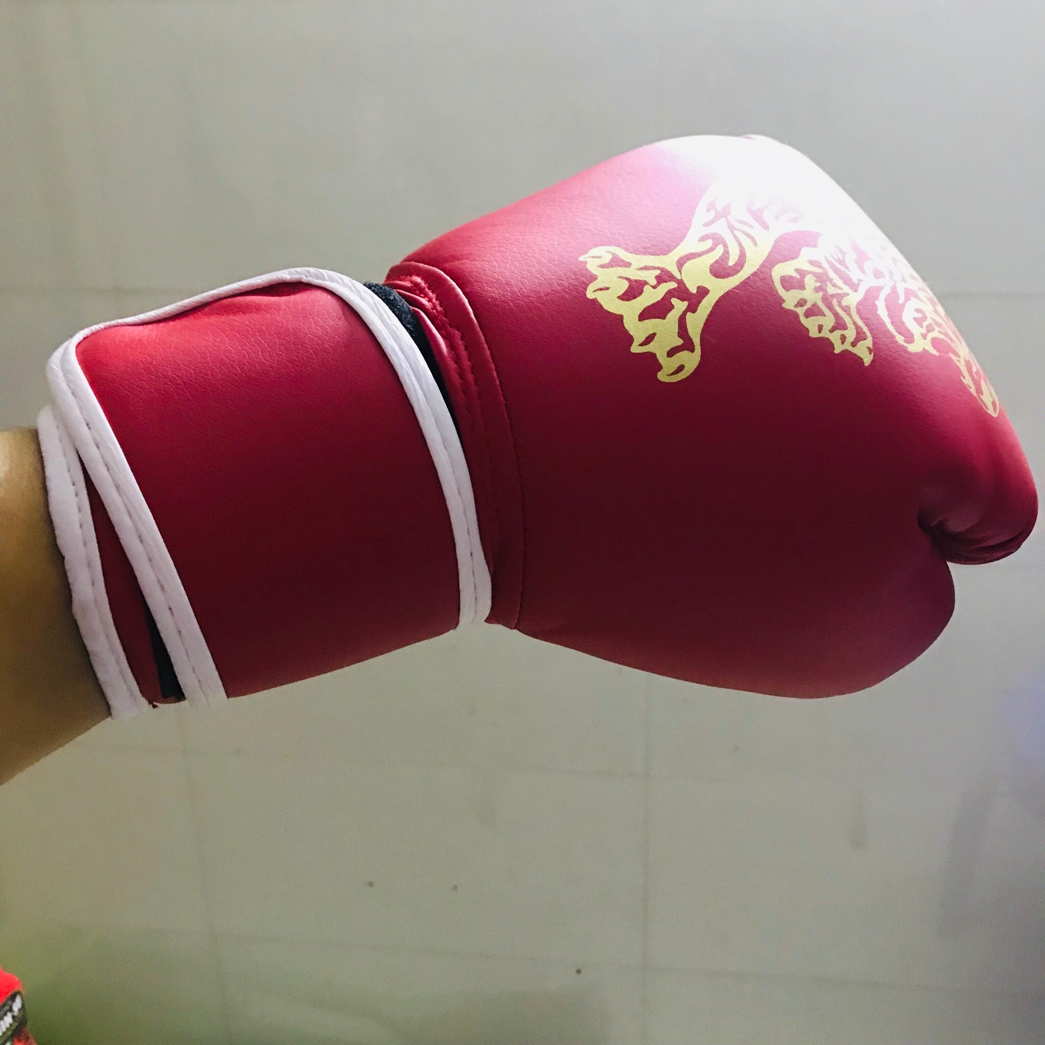Găng Tay Boxing Người Lớn AmandaC Life – Găng Tay Đấm Bốc Người Lớn Chính Hãng