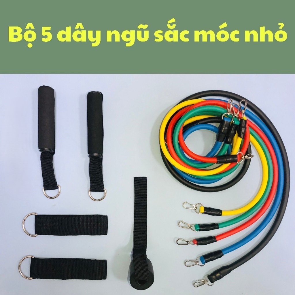 Dây Ngũ Sắc Tập Gym, Bộ 5 Dây Đàn Hồi Kháng Lực Tập Full Body, Dụng Cụ Tập Thể Hình Tại Nhà Đa Năng