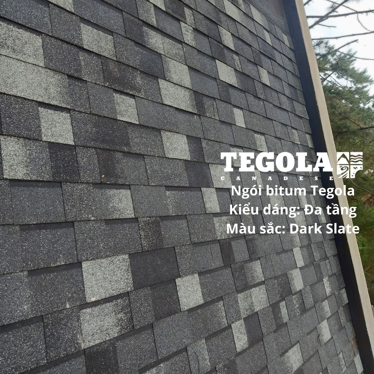 Tấm lợp bitum Tegola Đa tầng Dark Slate - tấm dán phủ đá cao cấp từ nhà máy Ý cho mái biệt thự, nhà phố, nhà gỗ, nhà tiền chế, bungalow - 2m2/gói