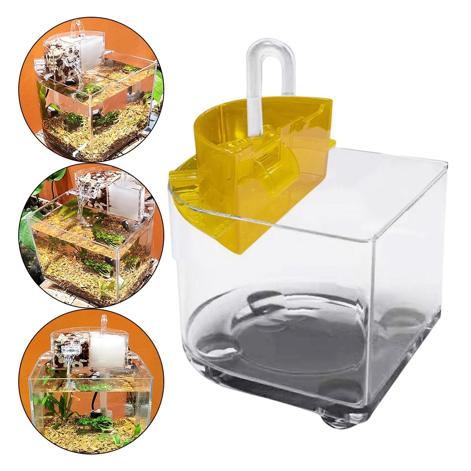 Desktop Aquarium with Water Filtration Quiet Air Pump