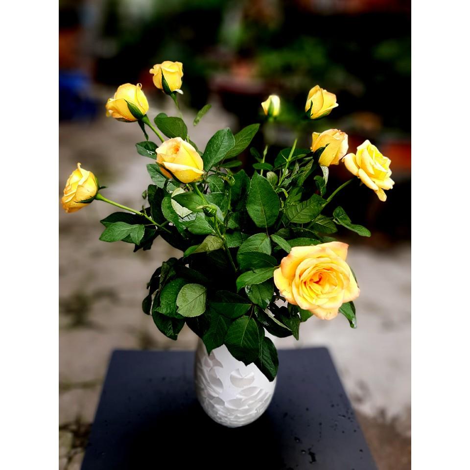 SIÊU RẺ VÀ ĐẸP- BÌNH CẮM HOA SIZE LỚN ,MEN KẾT TINH TRẮNG-SẢN XUẤT TẠI LÀNG NGHỀ TRUYỀN THỐNG BÁT TRÀNG