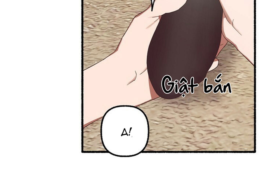 hoa triều chapter 18 100