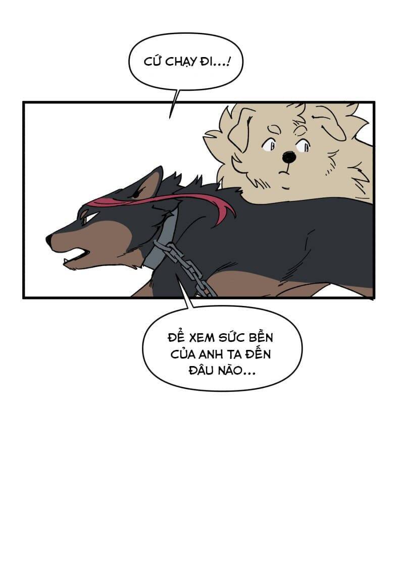 lumine - cội nguồn ánh sáng chapter 152 3