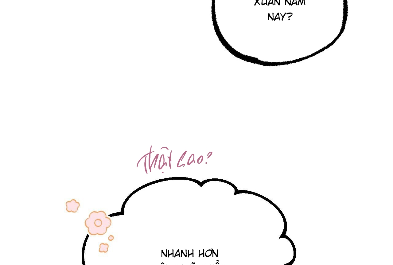 đàn thỏ của habibi chapter 64 272