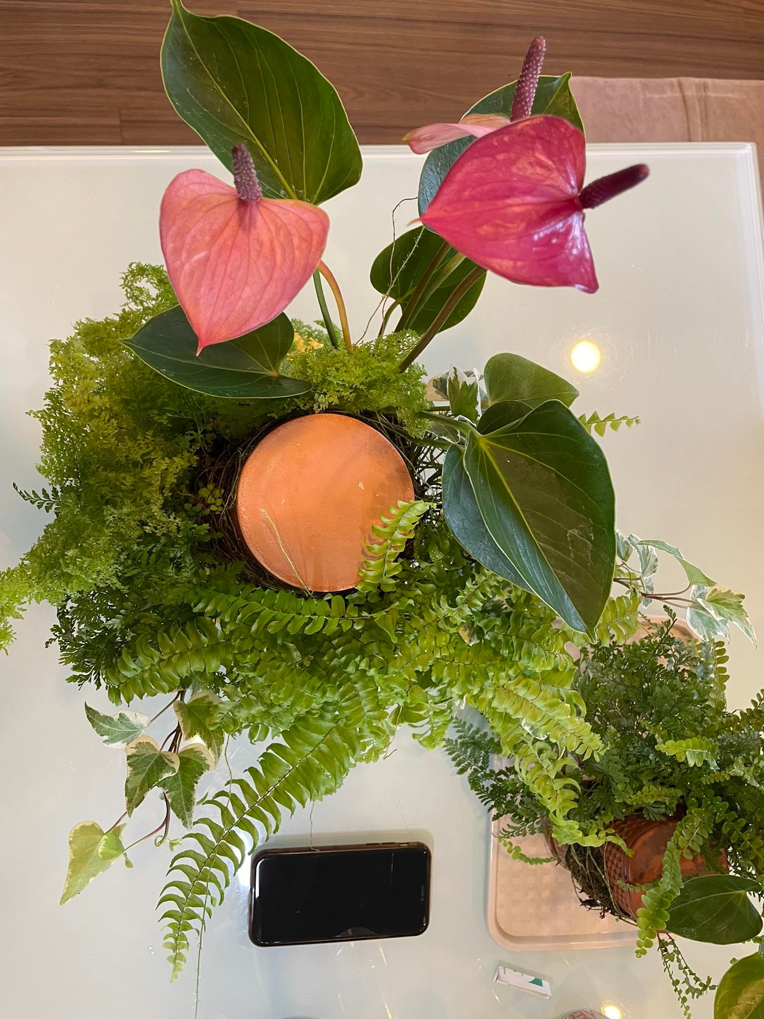 Tháp cây đứng TERRAPLANTER gốm trồng cây dương sỉ rêu tự thẩm thấu thủy canh nhiều lỗ DOOA TERRARIUM - TERRA-02