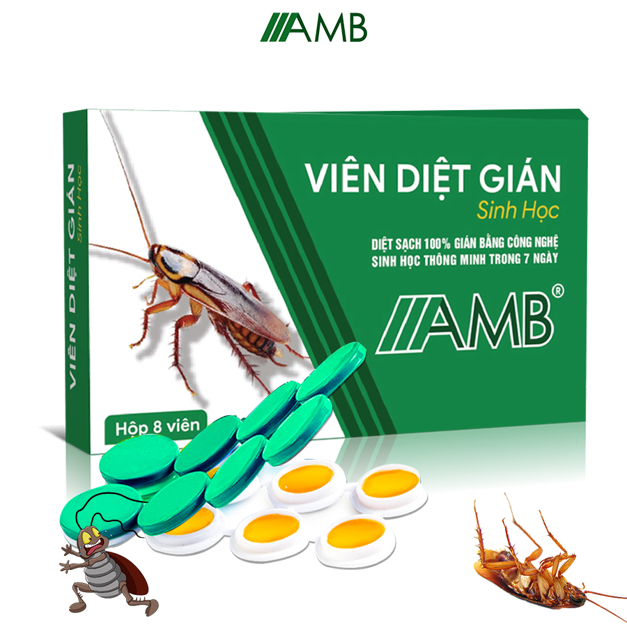 Thuốc diệt gián sinh học AMB, Viện Hàn lâm khoa học Việt Nam, diệt tận gốc tất cả các loại gián, hiệu quả, an toàn
