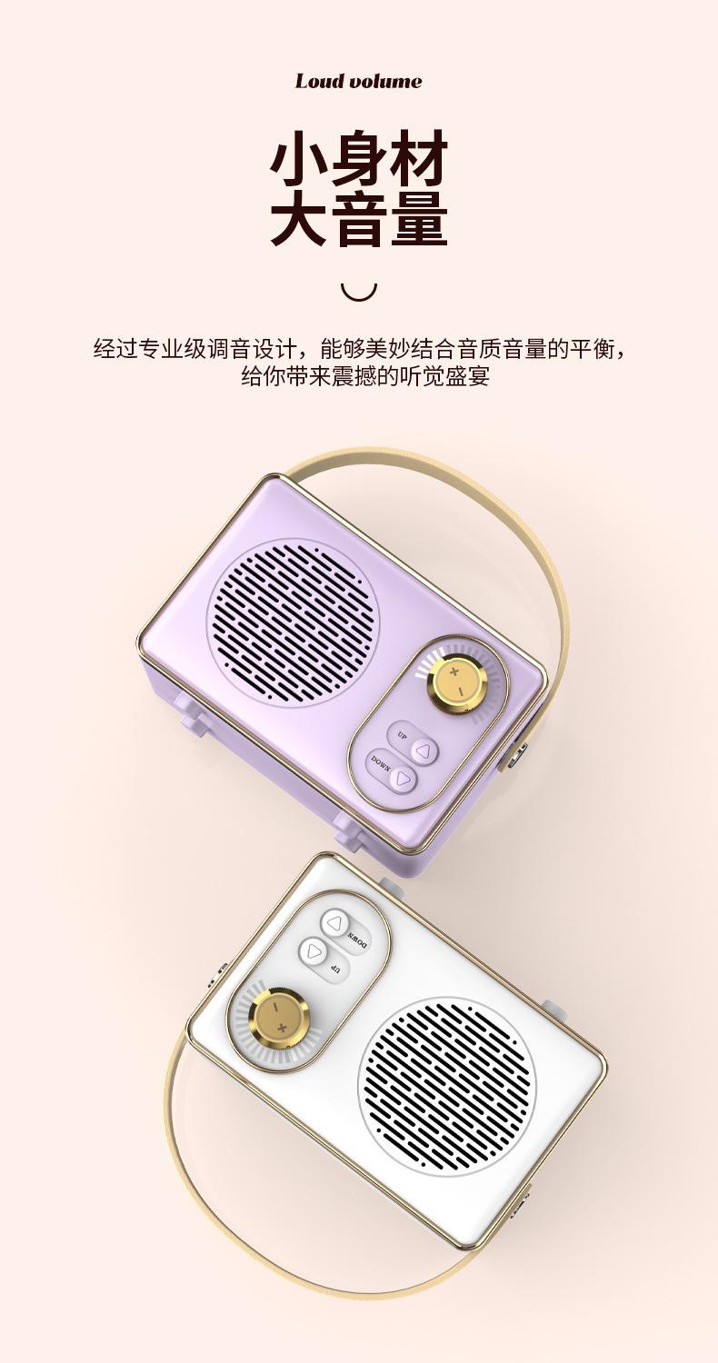 Loa Bluetooth cổ điển Mini Máy nghe nhạc cổ điển không dây di động Sạc USB Âm thanh nổi Trang trí loa cổ điển Màu sắc: DW21-Xanh đậm
