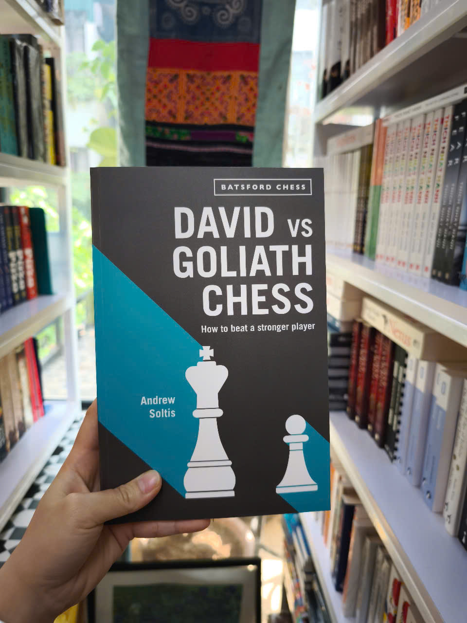 Sách - David vs Goliath Chess: How to Beat a Stronger Player by Andrew Soltis
