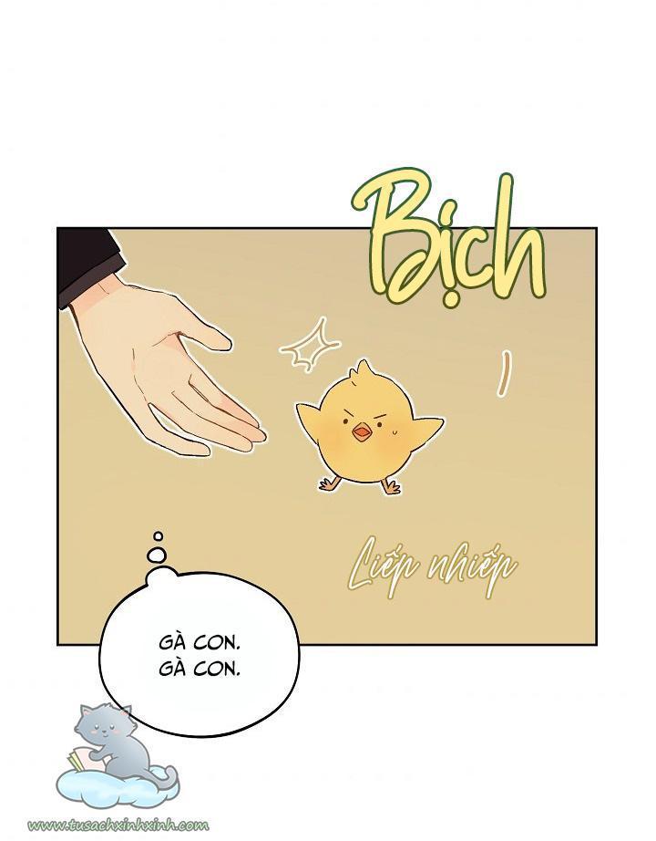 trang trại hạt dẻ cạnh hoàng cung chapter 23 7