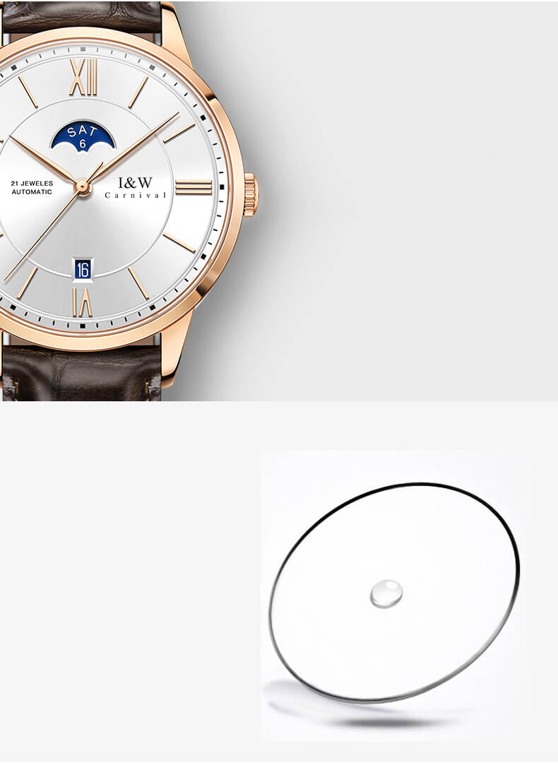 Đồng hồ nam chính hãng IW CARNIVAL IW528G-1 Kính sapphire ,chống xước,Chống nước 30m ,Bảo hành 24 tháng,Máy cơ ,Dây da cao cấp