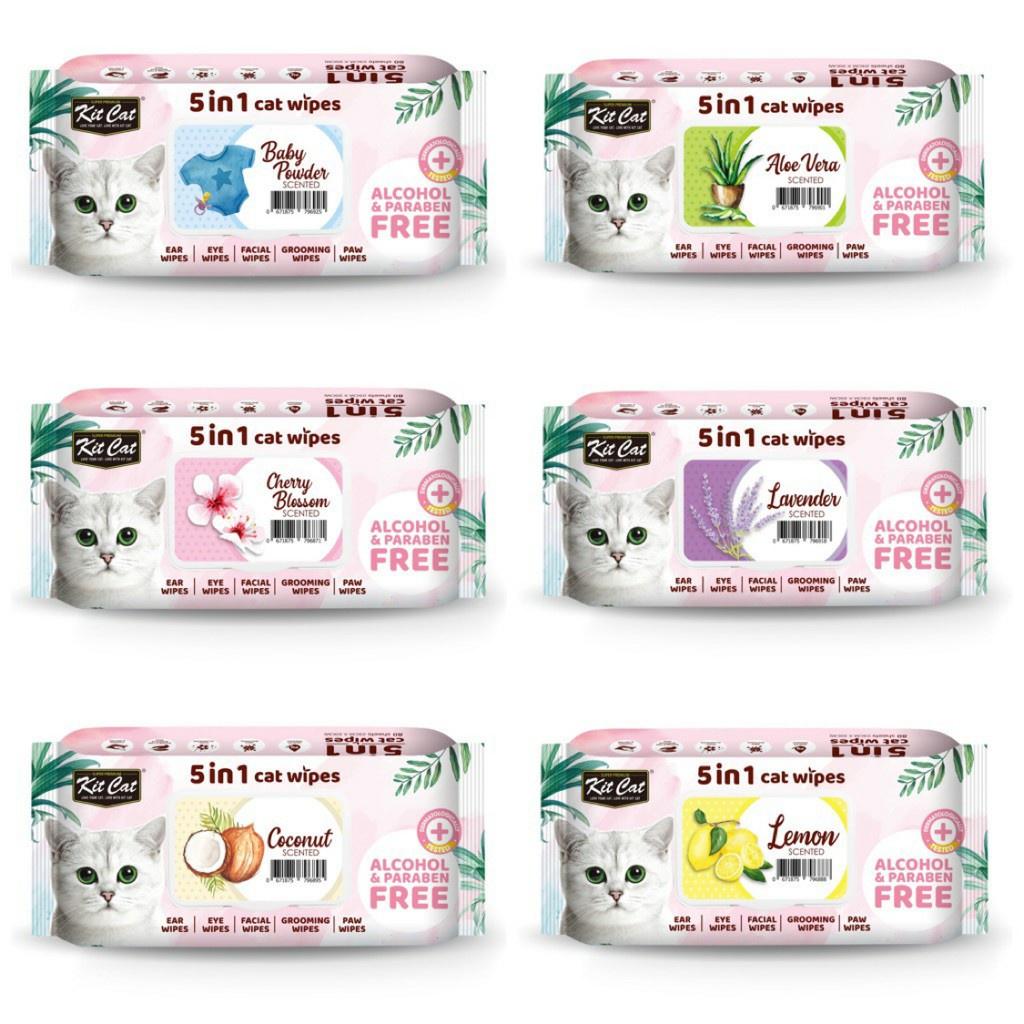Khăn ướt kháng khuẩn vệ sinh cho mèo Kitcat