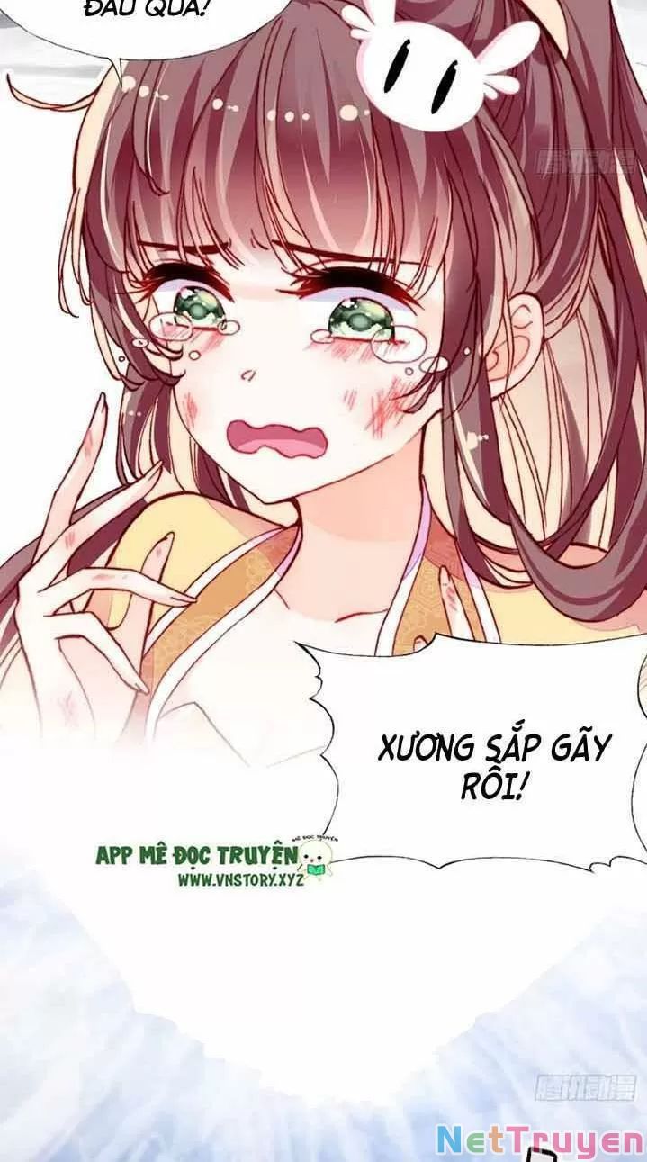 lại bị bệnh chiều chuộng quấn lấy chapter 13 44