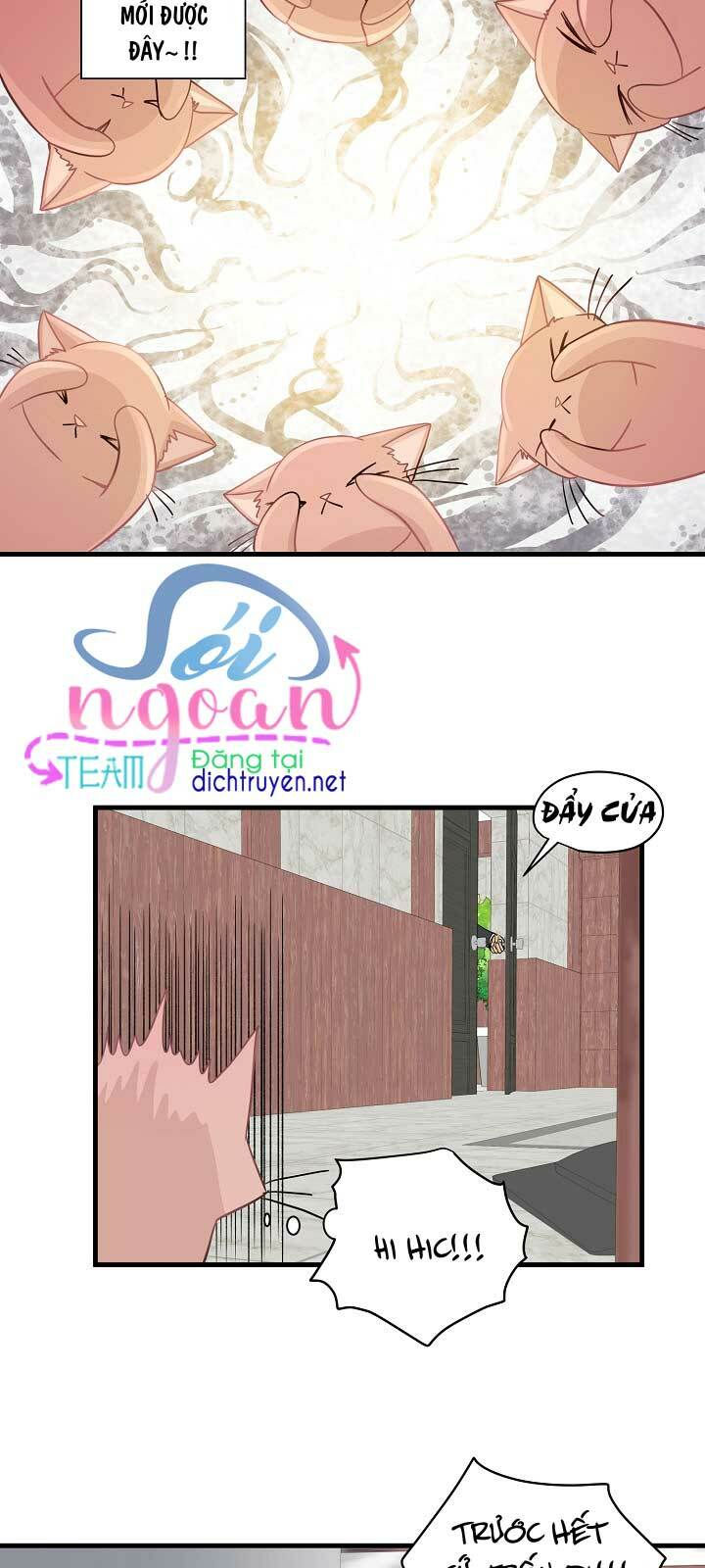 cuộc sống kỳ thú chapter 11 25