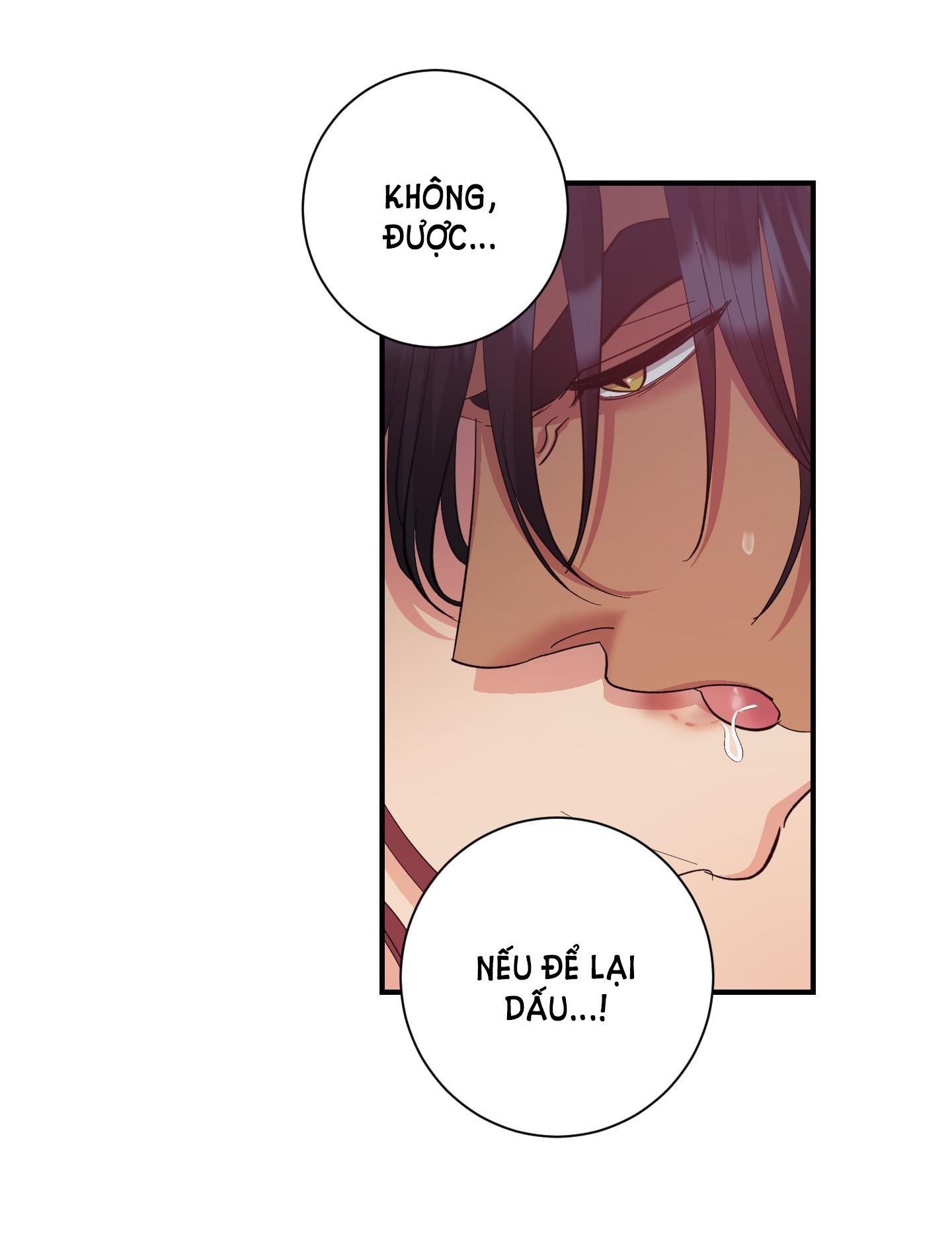 [18+] một lòng một dạ chapter 31.1 3