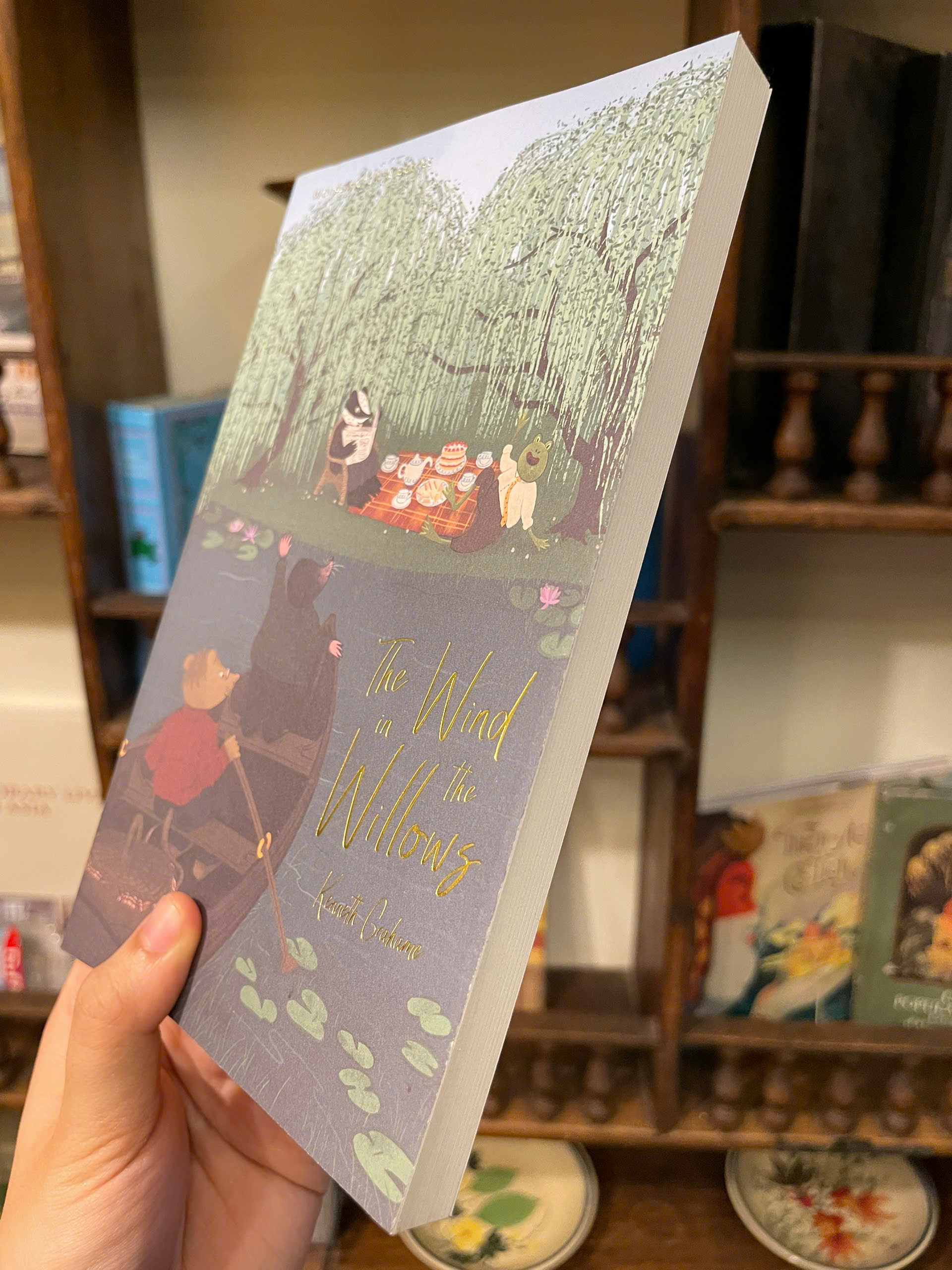 Sách - The Wind in the Willows (Wordsworth Classics) by Kenneth Grahame | Children's Fiction Book