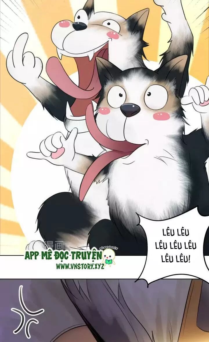 cực phẩm phế vật tiểu thư chapter 106 19