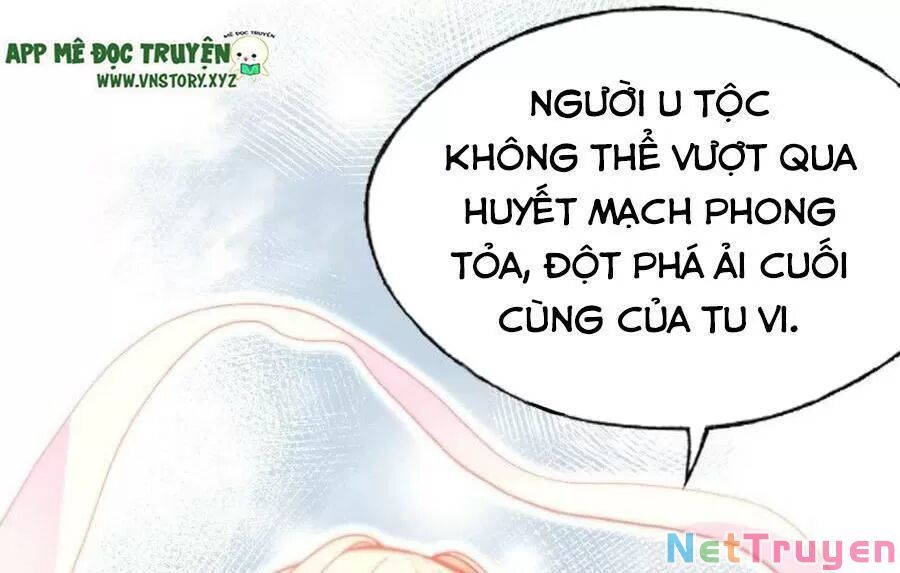 lại bị bệnh chiều chuộng quấn lấy chapter 68 34