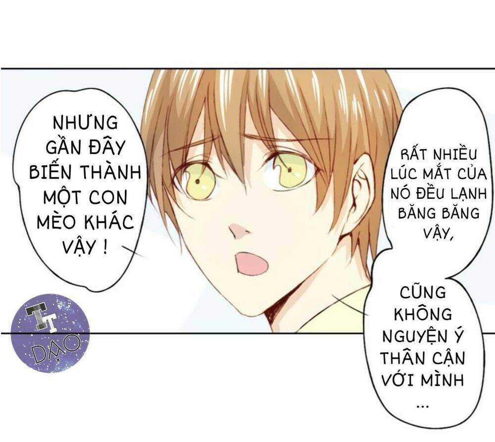 tôi không phải đa nhân cách chapter 12 24