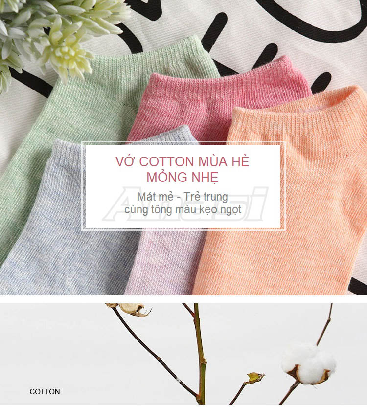 Combo 4 đôi vớ nữ/ Tất nữ cotton cổ ngắn loại mềm mỏng đi mùa hè Anasi VN095 | BST màu kẹo ngọt