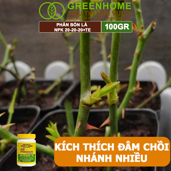 Phân Bón Lá Grow More NPK 20-20-20, GreenHome, Chai 100GR, To Củ, Lớn Trái, Chắc Hạt