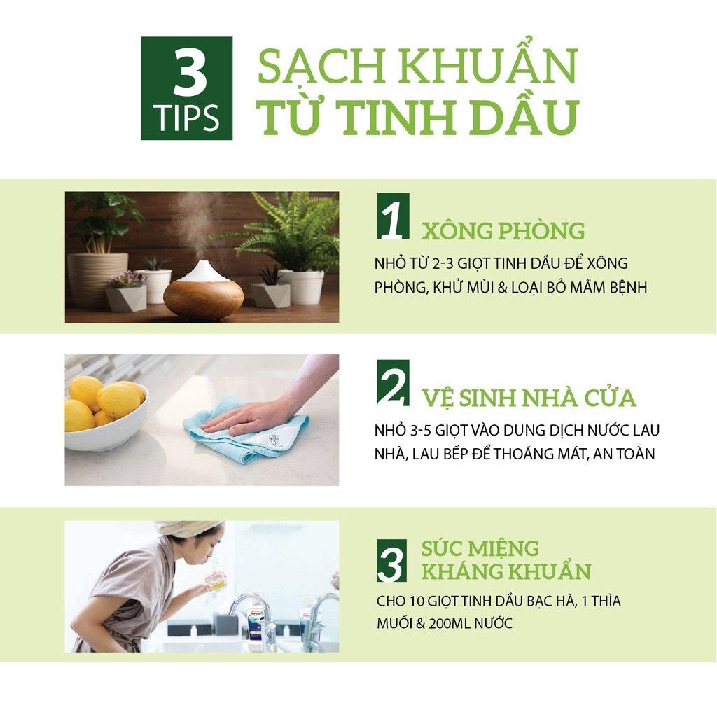 Tinh dầu Sả Chanh SUZIKO đuổi muỗi, tinh dầu tốt cho răng miệng loại 10ml