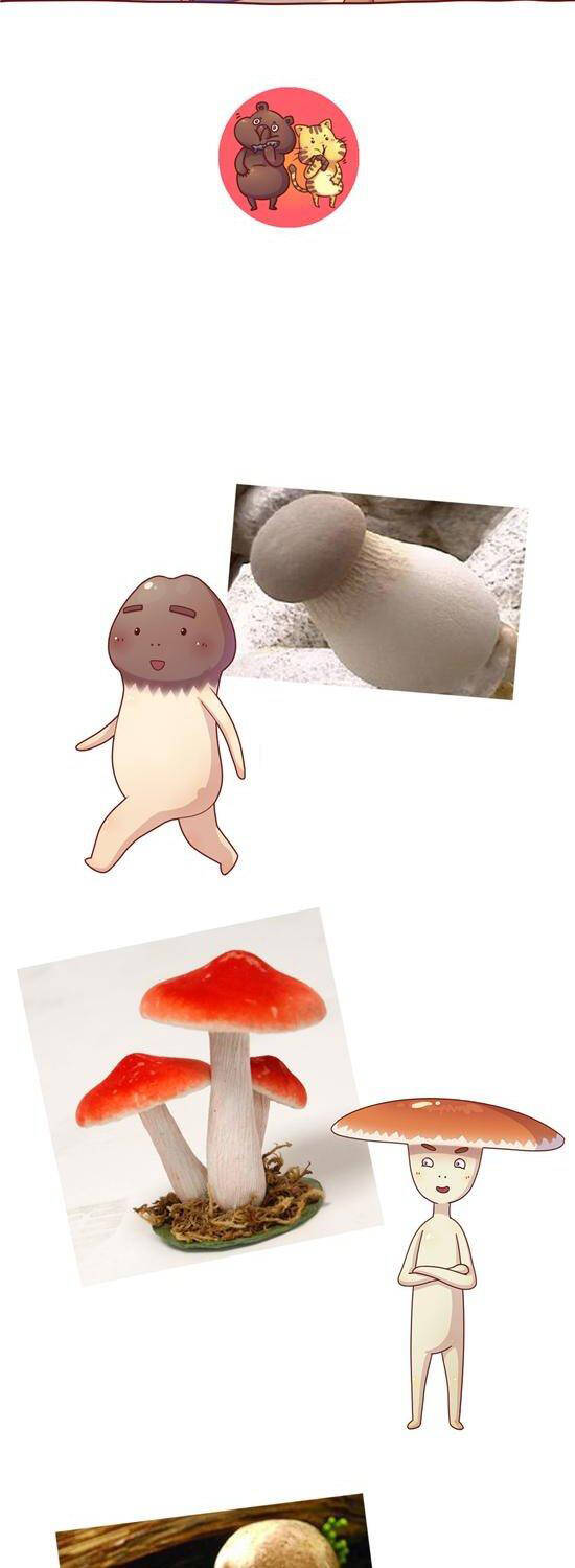 cây nấm kì khả chapter 22 8