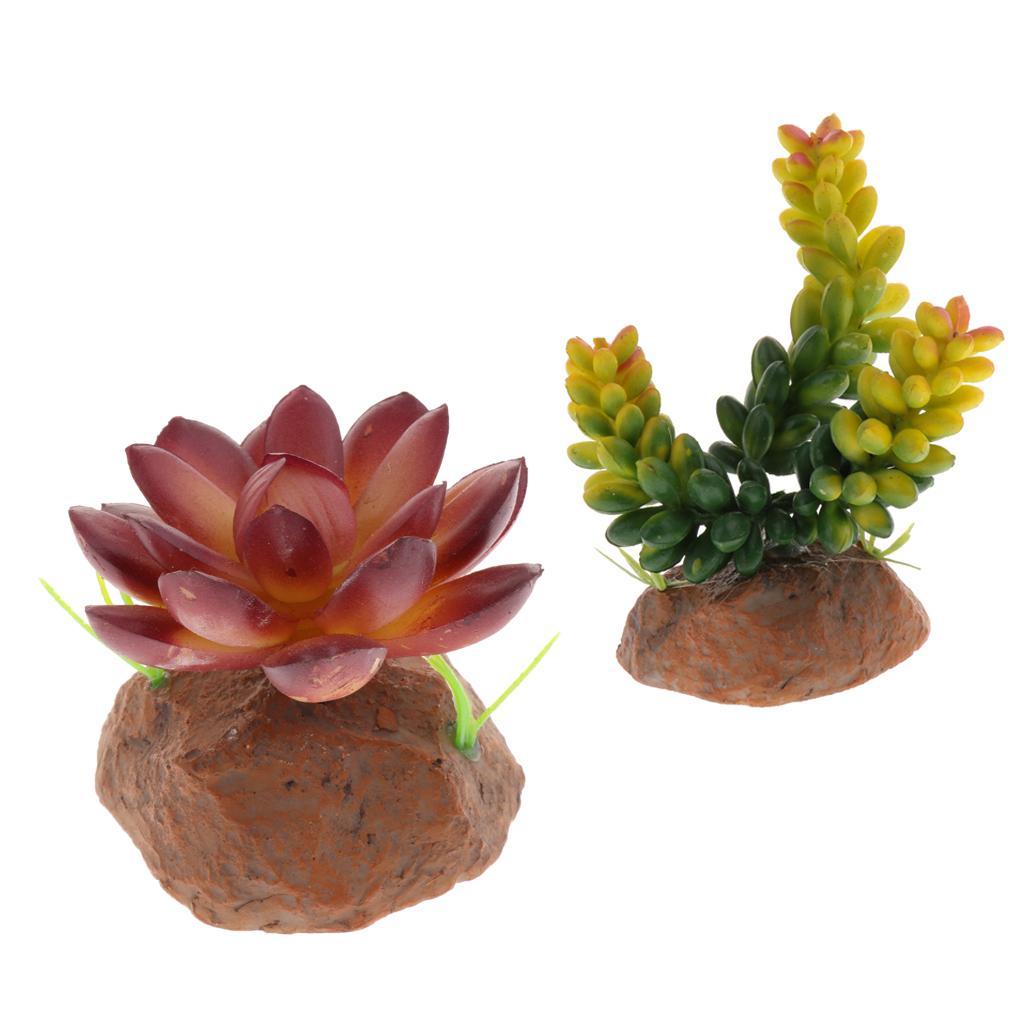 2x Terrarium Fake Succulent Plant Reptile Vivarium Landscaping Decor