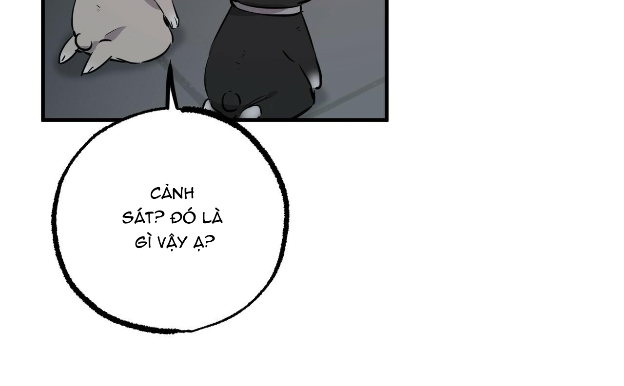 đàn thỏ của habibi chapter 46 265