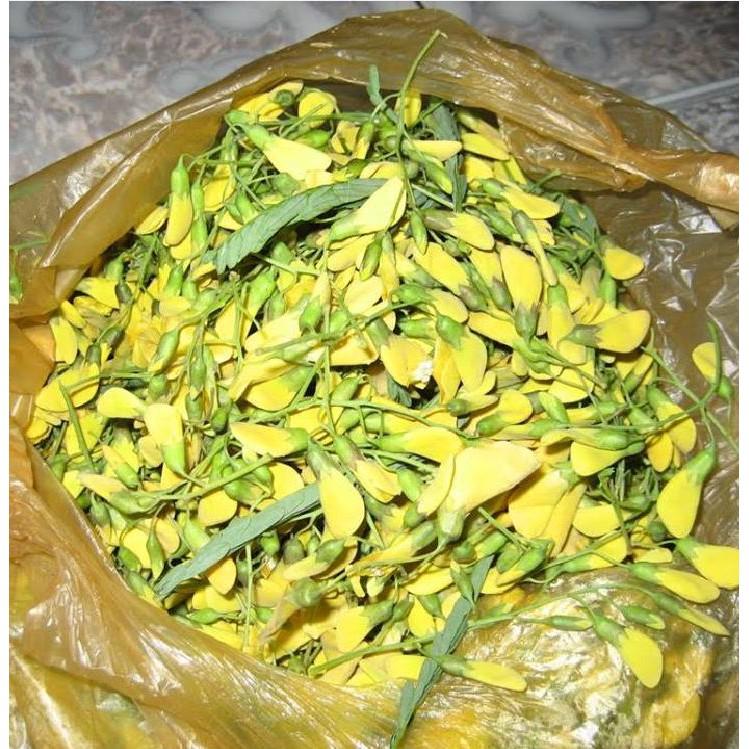 Hạt Giống Hoa Điên Điển F1 - 50 hạt/gói