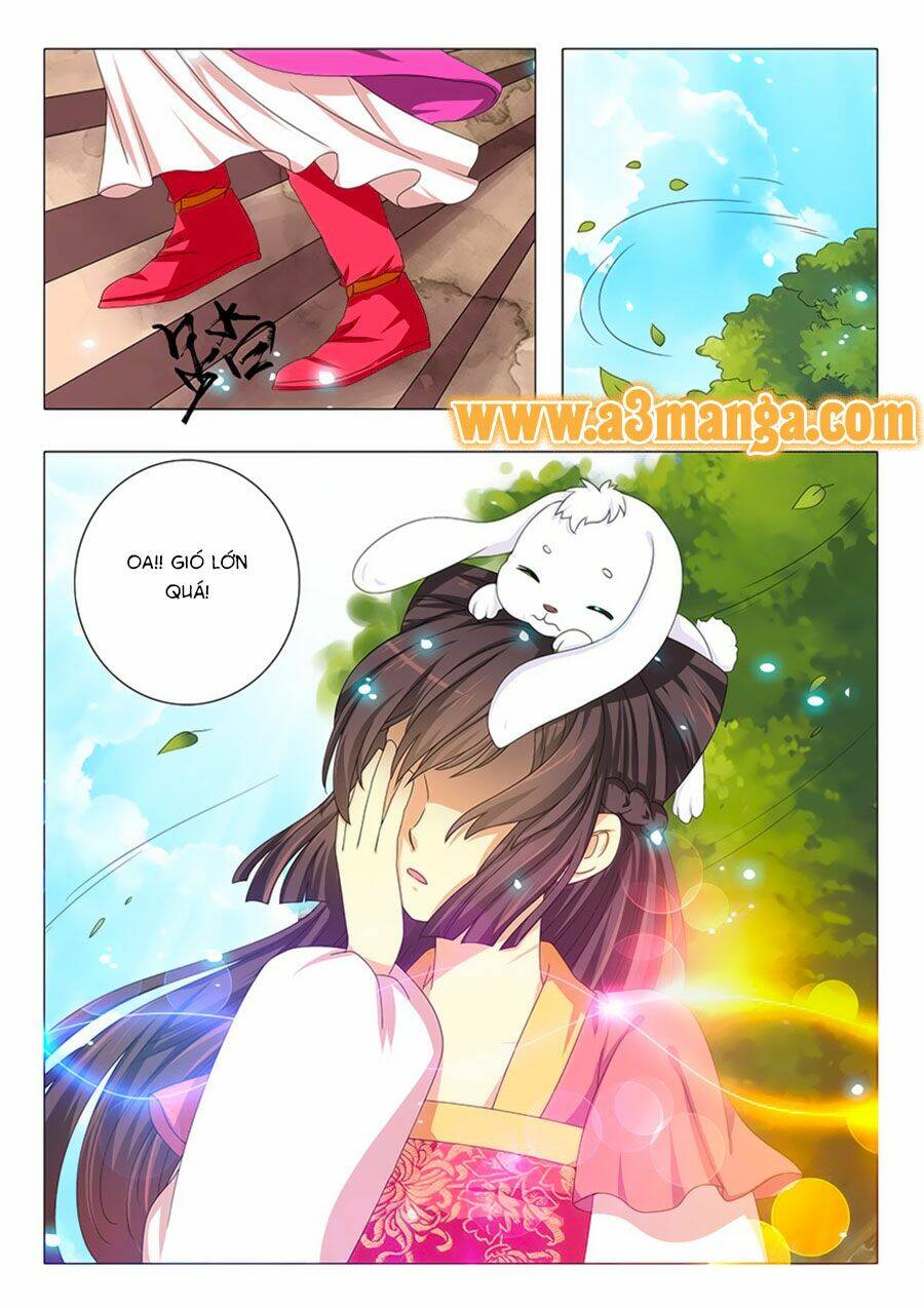 đống phù đã khai quang chapter 15 4