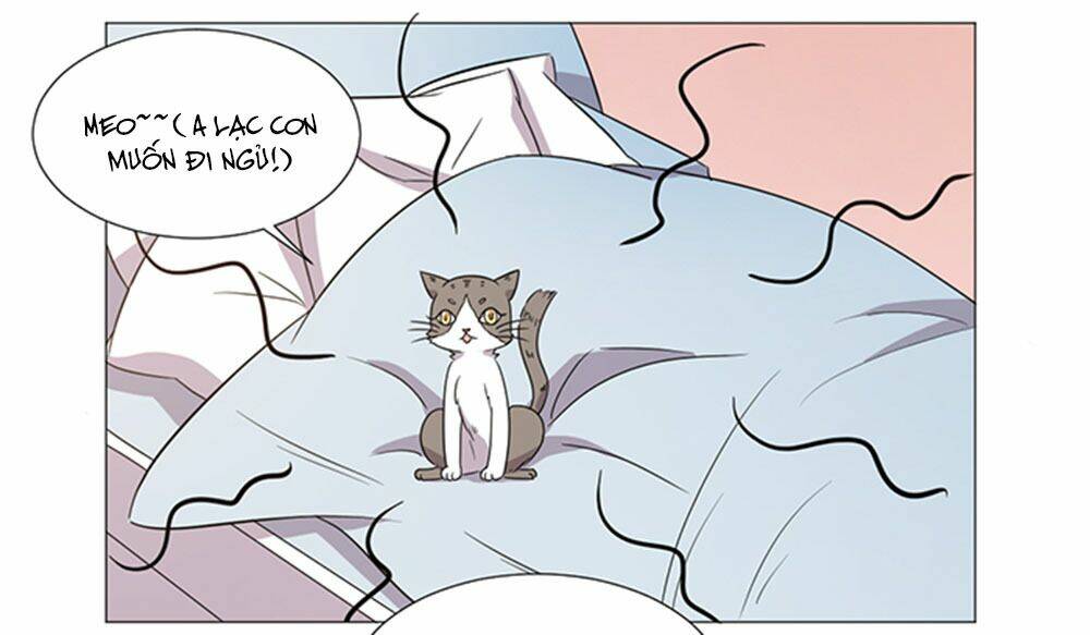 hai chú mèo totem chapter 37 41