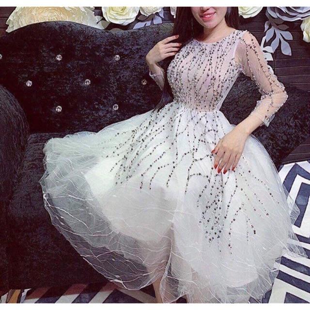 Đầm xòe công chúa đi tiệc