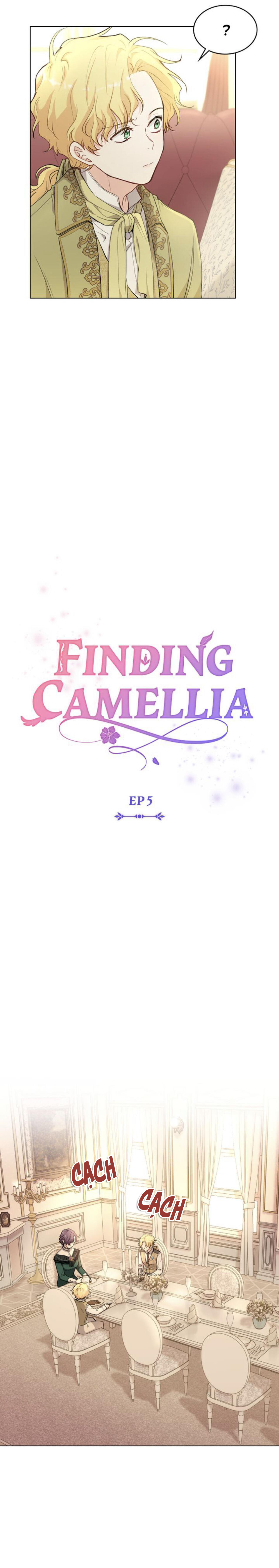 đi tìm nàng camellia chapter 5 7