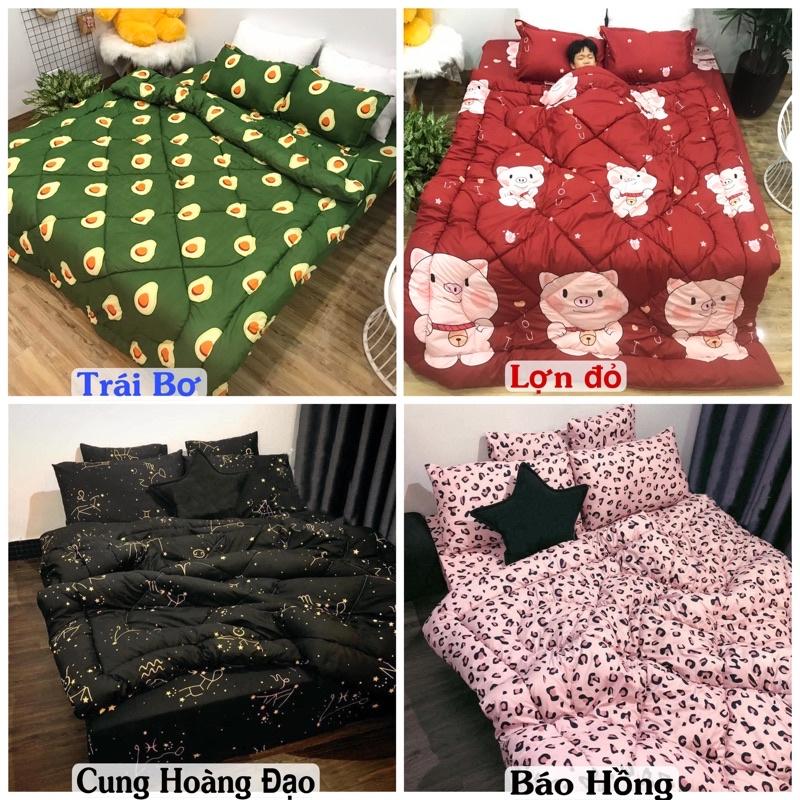 Trọn Bộ Chăn Phao 5 Món Ga Gối Poly loại 1 Chăn Bông Dày Như Hình