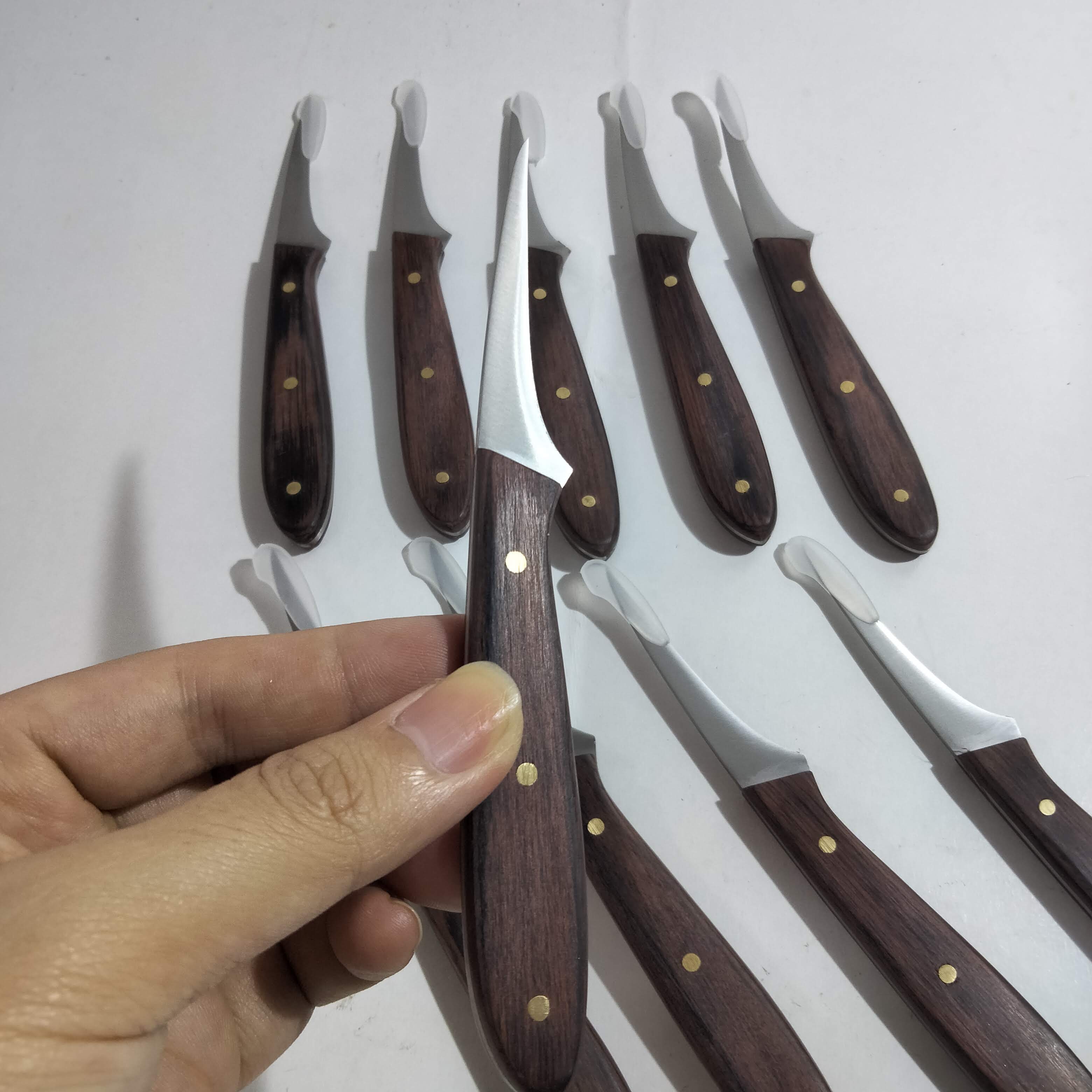 Dao Tỉa hoa Điêu Khắc ngắn Thép Không Rỉ Tỉa Rau Củ Quả Trái Cây siêu sắc cán gỗ_ Carving Knives Tools