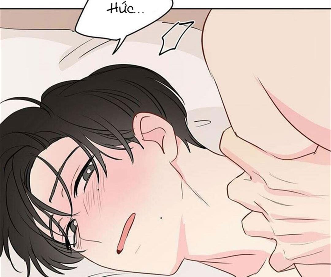 chuyện quái gì với giấc mơ đó vậy chapter 29 142