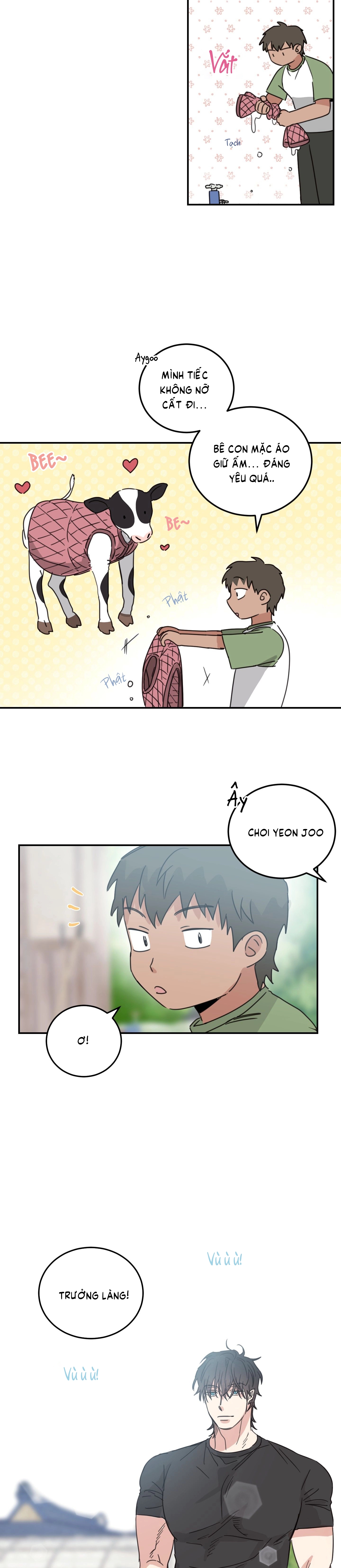 căn nhà mặt trời mọc chapter 47 19