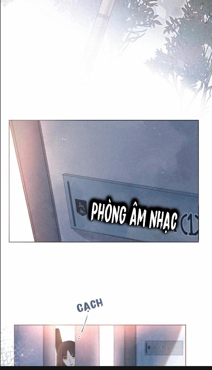 nỗi buồn của hoa cẩm tú cầu chapter 2 8