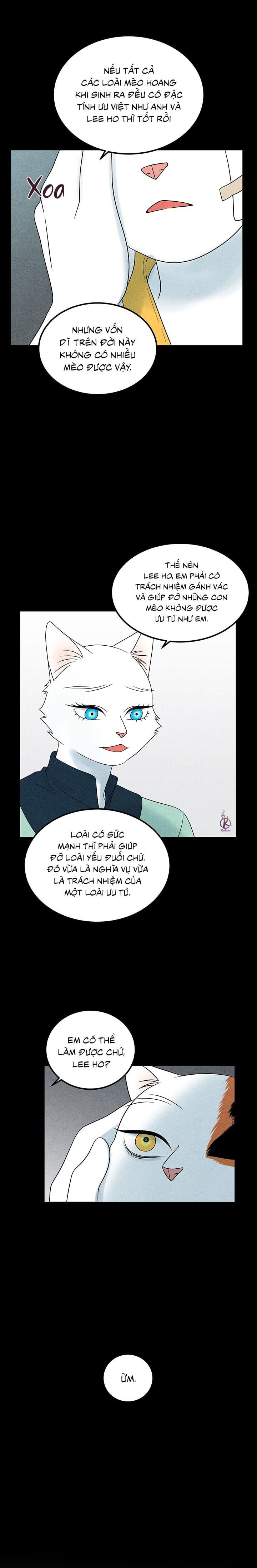 dự án xanh chapter 37 16