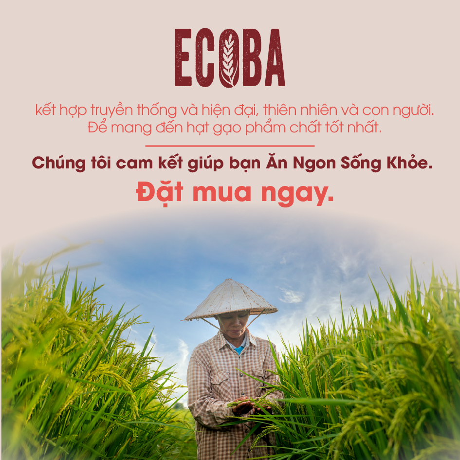 Gạo lứt đỏ hữu cơ cao cấp - ECOBA Huyết Rồng 1kg - Cơm mềm dễ ăn - Gạo lứt ăn kiêng