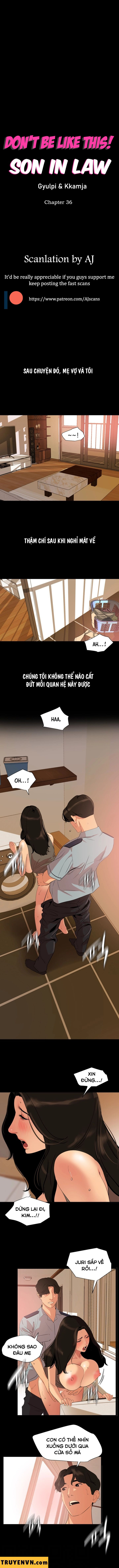 con rể chapter 36 1