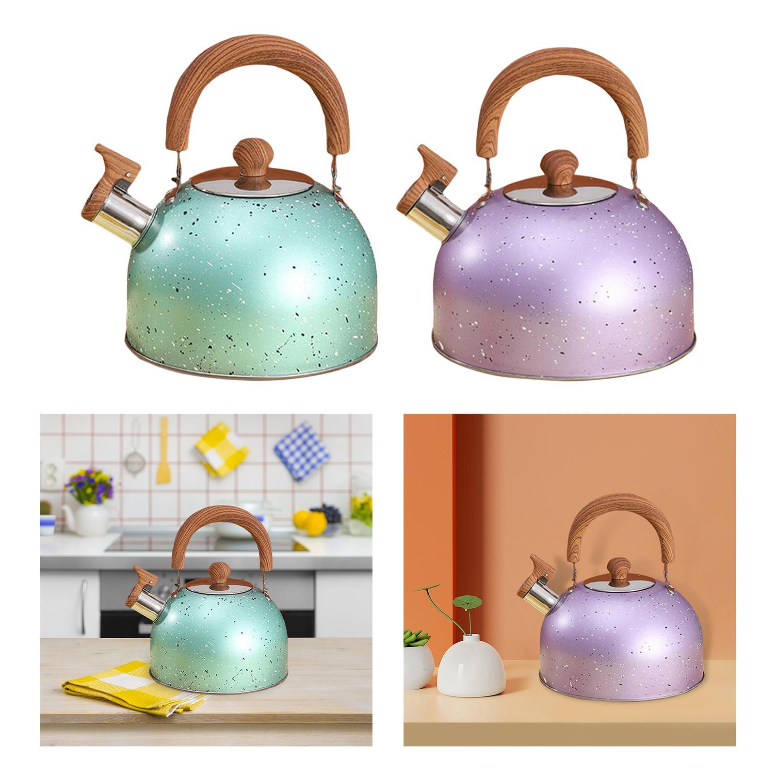 3L Whistle tea Kettle for Boiling water,